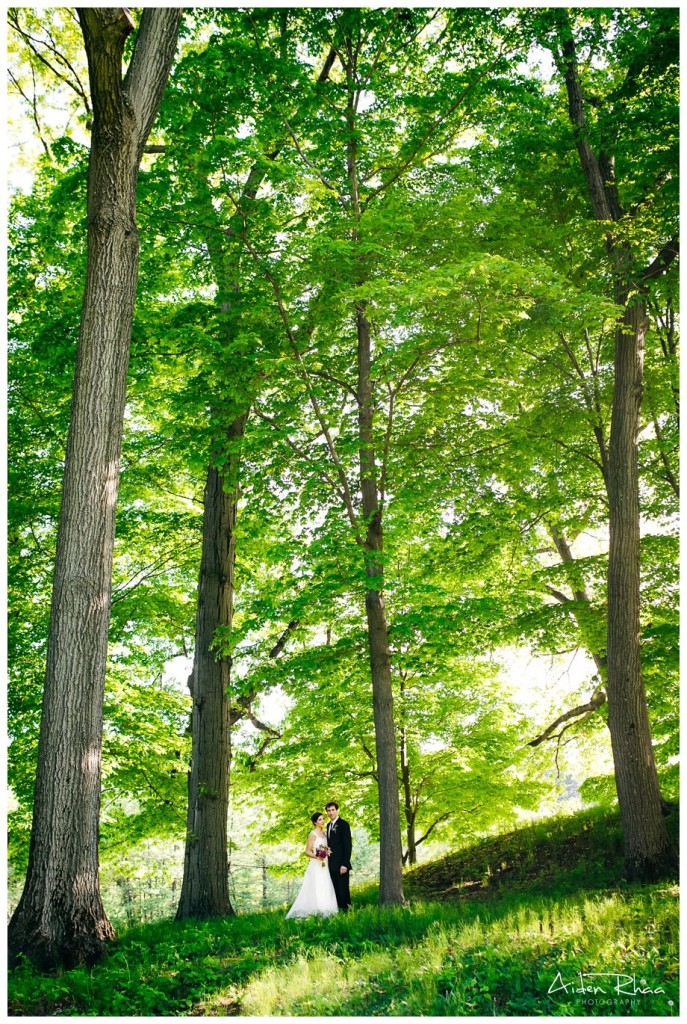 wide vertical shot of couple in the woods